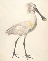 Lepelaar, Stephanus Hendrik Willem van Trigt