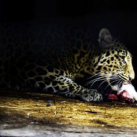 Leopard mit Snack von Esther Bax