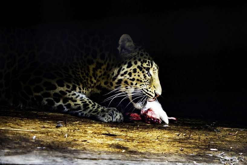 Leopard mit Snack von Esther Bax