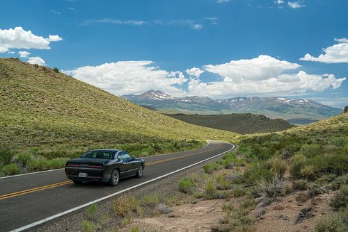 Driving the American dream