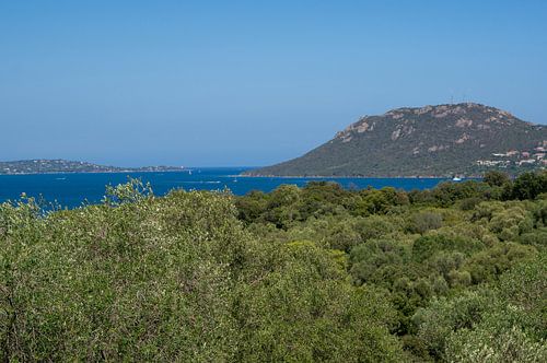 Vue sur la mer et les montagnes de la côte méditerranéenne de l'île de Corse sur Animaflora PicsStock