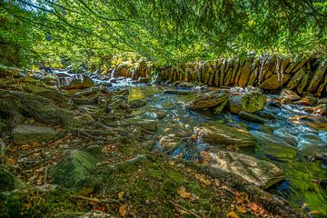 Natur und Landschaft im Erzgebirge von Johnny Flash