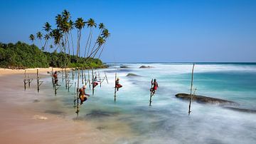 Les pêcheurs sur pilotis du Sri Lanka sur Roland Brack