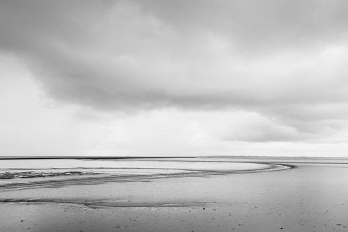 Op het wad