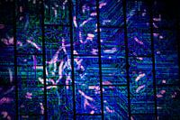 Données techniques de l'image