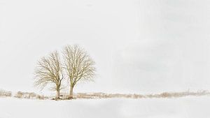 Bomen sneeuwlandschap Lentevreugd Wassenaar van Wim van Beelen