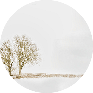 Bomen sneeuwlandschap Lentevreugd Wassenaar van Wim van Beelen