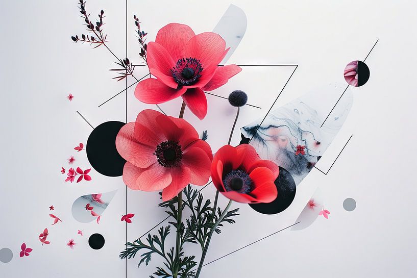 Kronen-Anemone von Poster Art Shop