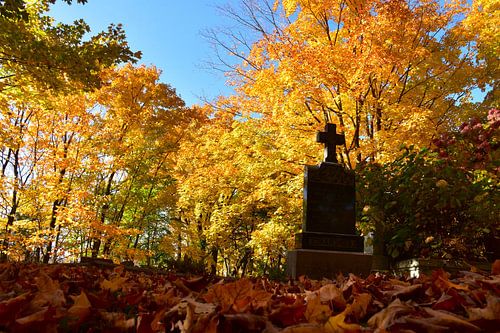 De begraafplaats in de herfst