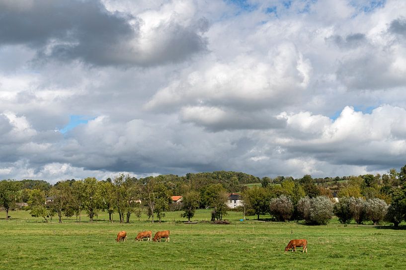 Pastorale scene Frankrijk van Richard Wareham