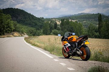 Honda Fireblade Repsol motorfiets van Joost Winkens