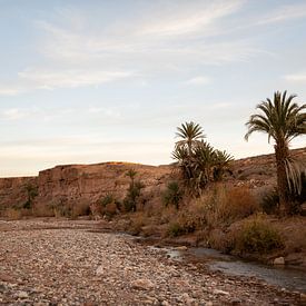 La nature au Maroc sur Valerie Visschedijk - Reisfotografie