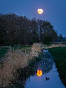 Volle maan in Drenthe van Lynxs Photography