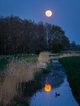 Pleine lune à Drenthe sur Lynxs Photography
