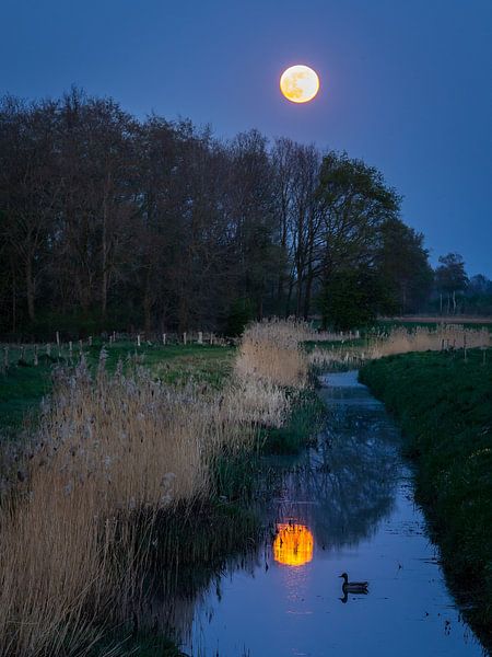 Vollmond in Drenthe von Lynxs Photography