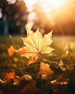 Herbstspaziergang