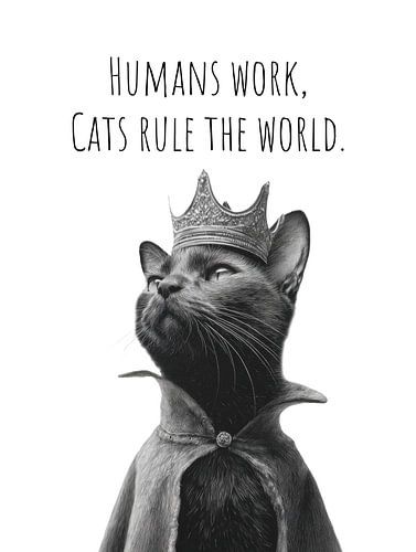 Coole kat - De heerser