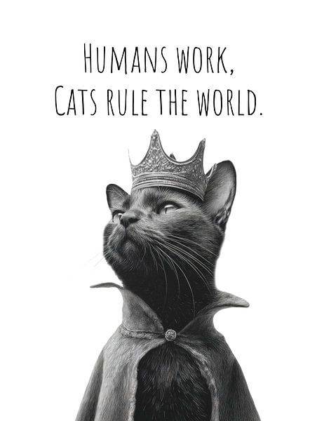 Coole Katze - Der Herrscher von Melanie Viola