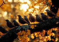 sparrows