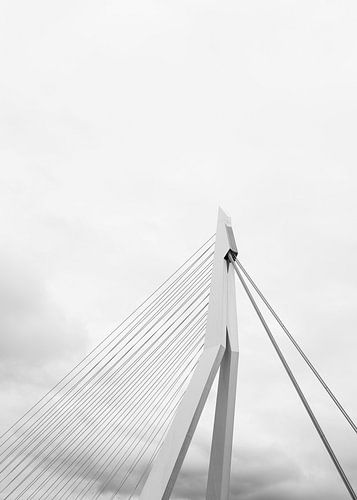 Pont Érasme dans les nuages | Architecture Rotterdam | Détail
