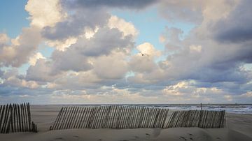Duin, strand en zee aan de Hollandse kust van Dirk van Egmond