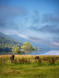 Ätherisches Licht am Loch Voil von Pascal Raymond Dorland