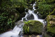Kaltbrunnental by Severin Pomsel thumbnail