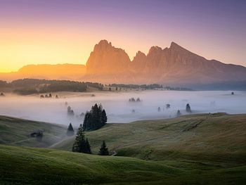Alpe di Siusi