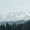 Hohe Tatra Berge im Nebel von AS Photography
