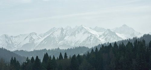 Hohe Tatra Berge im Nebel