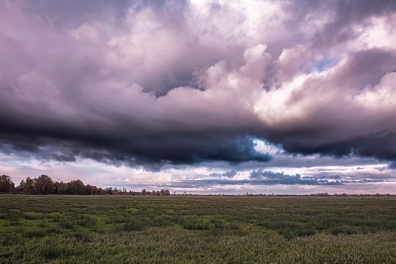 View over the Wieden in Drente by Brian Morgan
