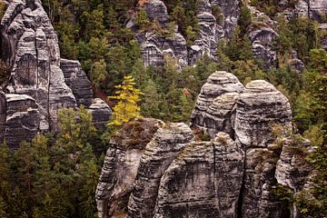 Bastei Elbsandsteingebirge von Rob Boon