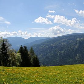 Alpenpanorama van Marcel Schauer
