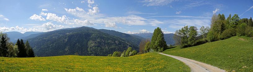 Alpenpanorama van Marcel Schauer