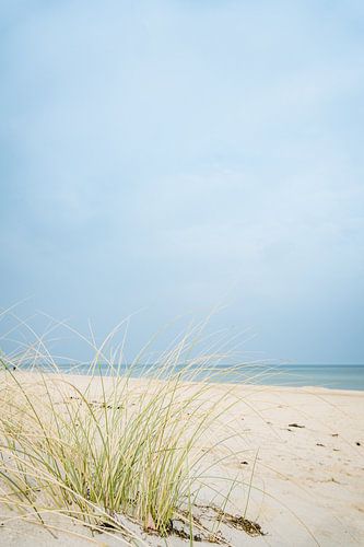 Sandstrand Baabe mit Dünengras und Ostsee