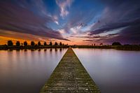 Jetty Blue City