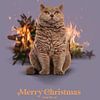 Merry Christmas from the cat von Jonas Loose
