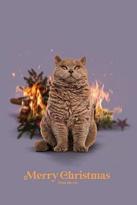 Vrolijk kerstfeest van de kat van Jonas Loose