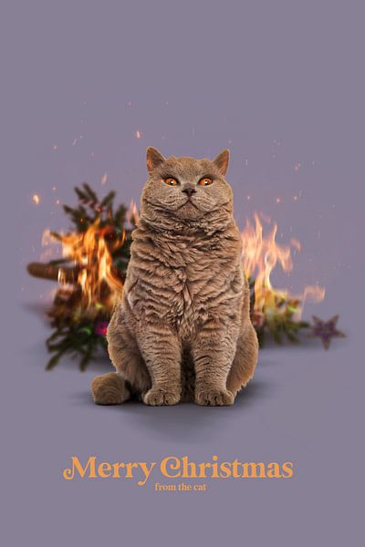 Joyeux Noël du chat par Jonas Loose