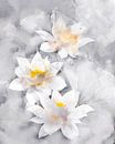 Lotusblumen von Jacky Miniaturansicht