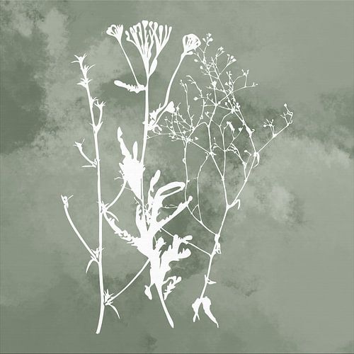 Nuvole di Prato. Abstract botanisch minimalistisch in luchtig gebladerte retrogroen