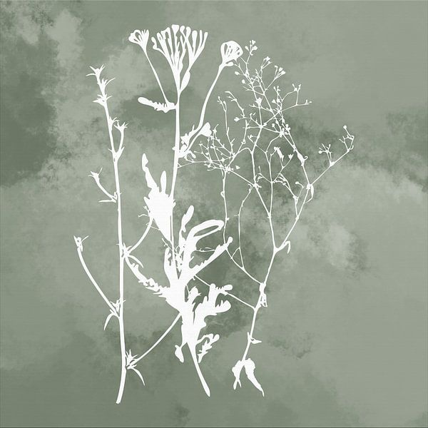 Nuvole di Prato. Abstrakt Botanisch Minimalistisch in Luftigem Laub Retro Grün von Dina Dankers