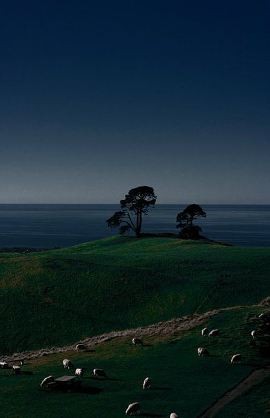 Papamoa Hills national park van Floor Boers