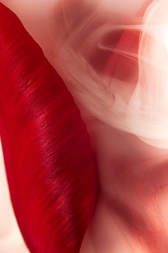 Sanft und geheimnisvoll: Die intime Berührung von Marjolijn van den Berg