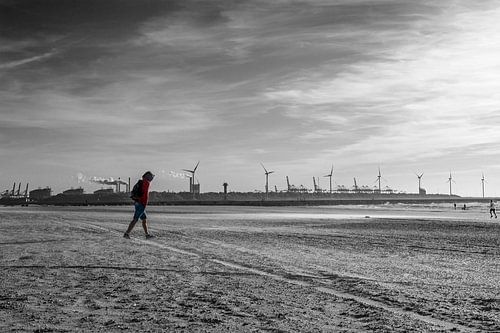 Hoek van Holland 