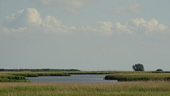 It Iselmar by Makkum