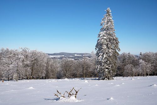 Kahler Asten, Sauerland, Germany