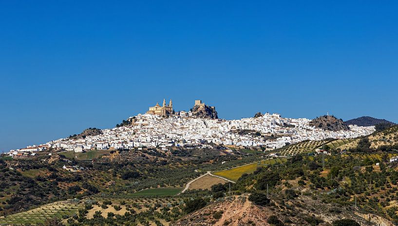 Olvera between olive groves 3, Spain by Adelheid Smitt