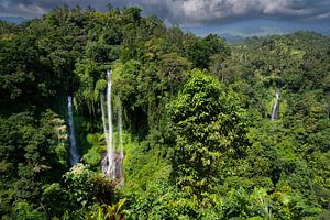 Chutes d'eau de Sekumpul à Bali
