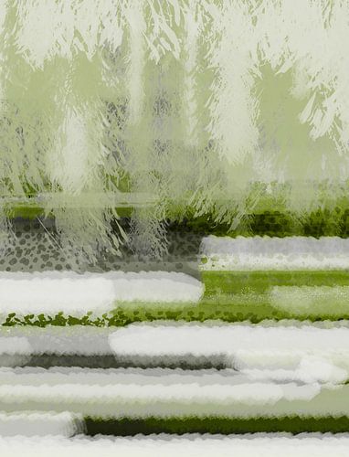 Betoverend regenwoudlandschap